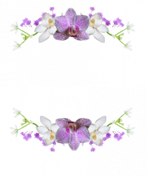 yoga floral design3
