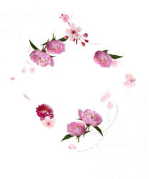 yoga floral design2