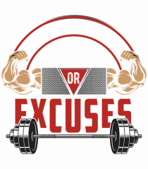 You Can Have Results or Excuses Not Both