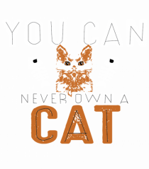 You Can Never Own A Cat