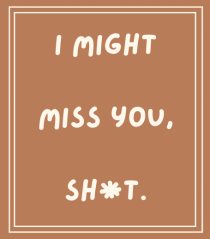 i might miss you shit4