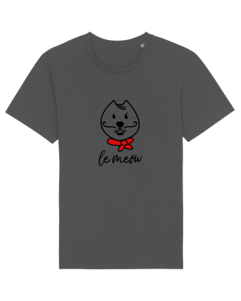 Le Meow - Pisica din Paris Anthracite