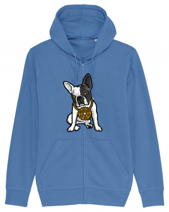 Golden Boston Terrier Bright Blue