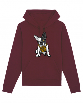 Golden Boston Terrier Burgundy