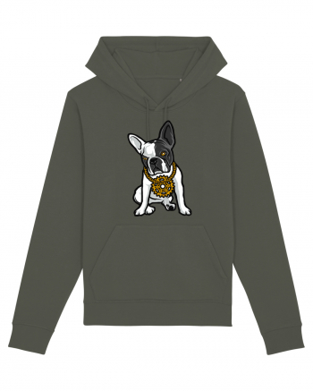 Golden Boston Terrier Khaki