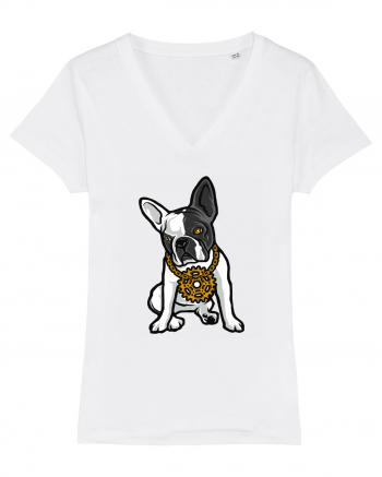 Golden Boston Terrier White