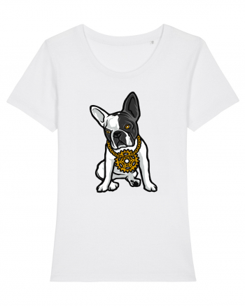 Golden Boston Terrier White