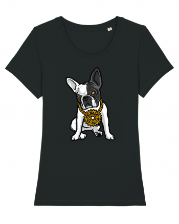 Golden Boston Terrier Black