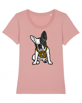 Golden Boston Terrier Canyon Pink