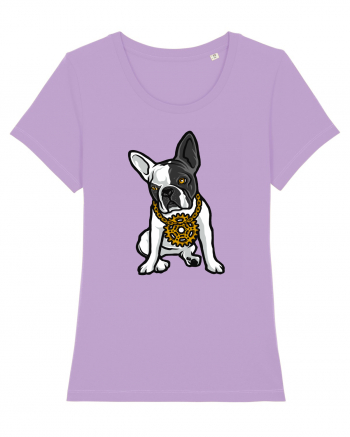 Golden Boston Terrier Lavender Dawn