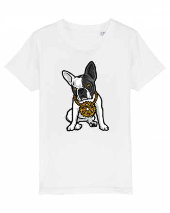 Golden Boston Terrier White