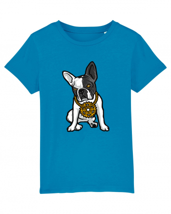 Golden Boston Terrier Azur