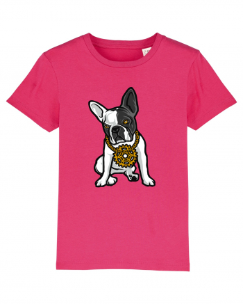 Golden Boston Terrier Raspberry