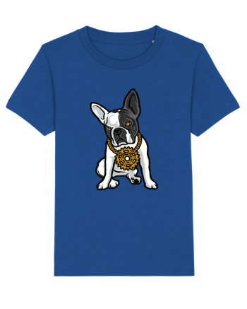 Golden Boston Terrier Majorelle Blue