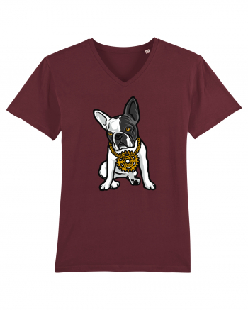 Golden Boston Terrier Burgundy