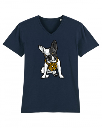 Golden Boston Terrier French Navy