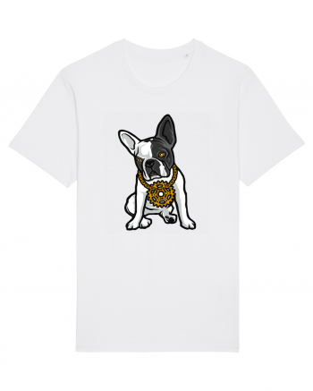 Golden Boston Terrier White