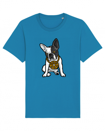 Golden Boston Terrier Azur