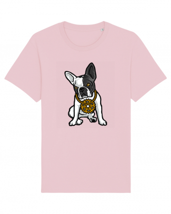 Golden Boston Terrier Cotton Pink