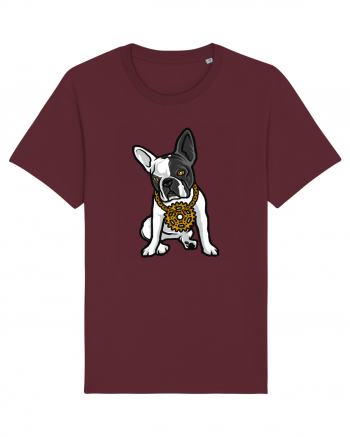 Golden Boston Terrier Burgundy