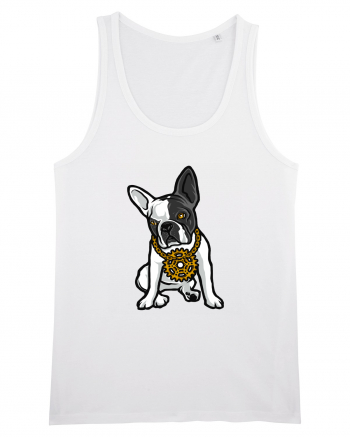 Golden Boston Terrier White