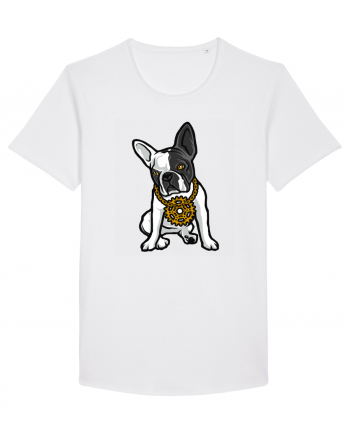 Golden Boston Terrier White