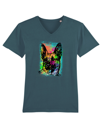 German Shepherd Stargazer