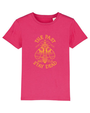 The Past Should Stay Dead Raspberry