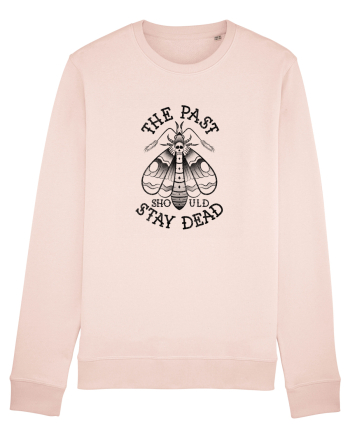 The Past Should Stay Dead Candy Pink