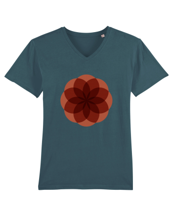 Color Wheel - red flower Stargazer