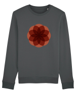 Color Wheel - red flower Bluză mânecă lungă Unisex Rise
