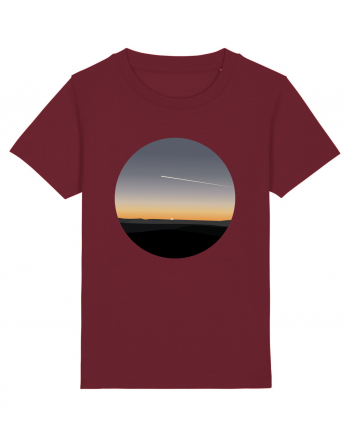 Photo Illustration - airplane in the sunset Burgundy