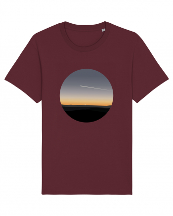 Photo Illustration - airplane in the sunset Burgundy