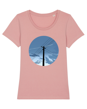 Photo Illustration - black electricity pole Canyon Pink