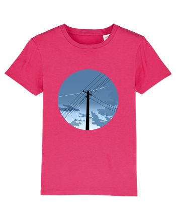 Photo Illustration - black electricity pole Raspberry