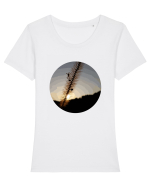 Photo Illustration - macro in the sunset 1 Tricou mânecă scurtă guler larg fitted Damă Expresser