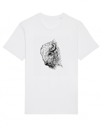 Zimbrul / Bourul 2. White