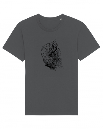 Zimbrul / Bourul 2. Anthracite