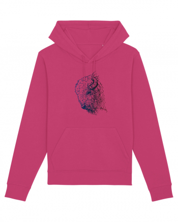 Zimbrul / Bourul 3. Raspberry