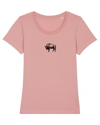 Zimbrul / Bourul 7. Canyon Pink