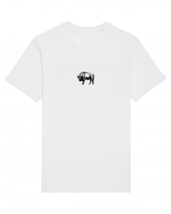Zimbrul / Bourul 7. White