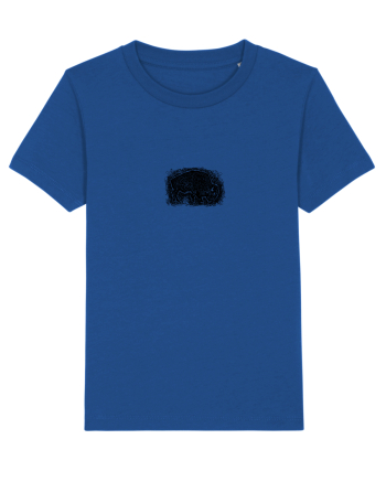 Zimbrul / Bourul 10. Majorelle Blue