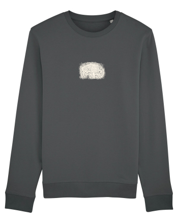 Zimbrul / Bourul 11. Anthracite