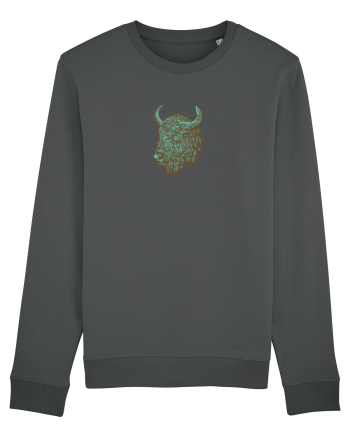 Zimbrul / Bourul 14. Anthracite