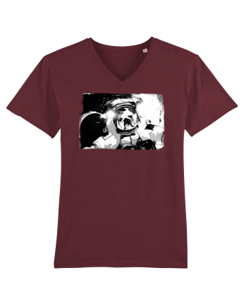 astro dog felfie Burgundy