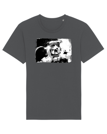 astro dog felfie Anthracite