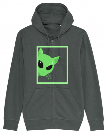 Alien Cat Peeking Anthracite