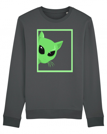 Alien Cat Peeking Anthracite