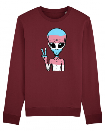 Alien Pride LGBT Support Burgundy