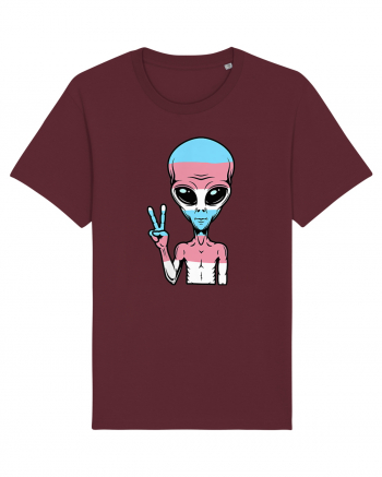 Alien Pride LGBT Support Burgundy